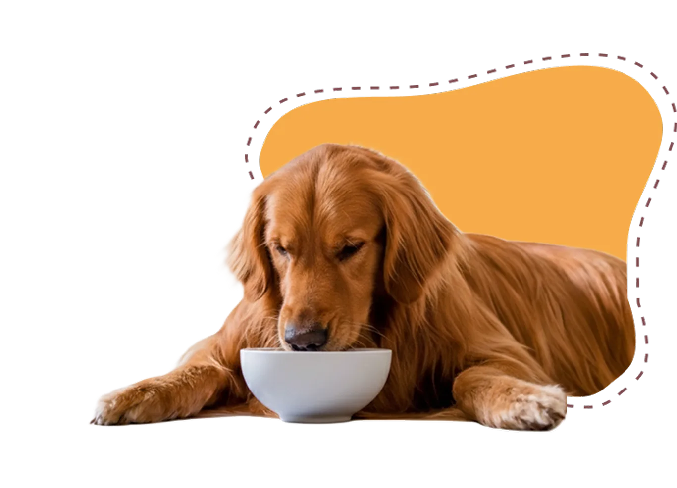 全球赛事，一手掌握！ - 米兰体育1